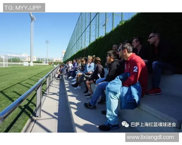 深圳足球队的节奏解析与战术深度剖析探秘之旅